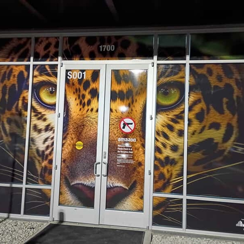 Window Graphics